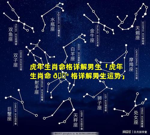 虎年生肖命格详解男生「虎年生肖命 💮 格详解男生运势」
